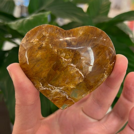 Golden Healer Heart