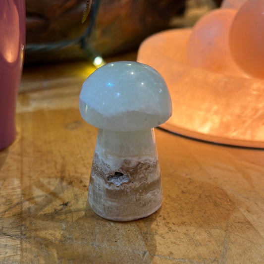 Caribbean Blue Calcite Mushroom