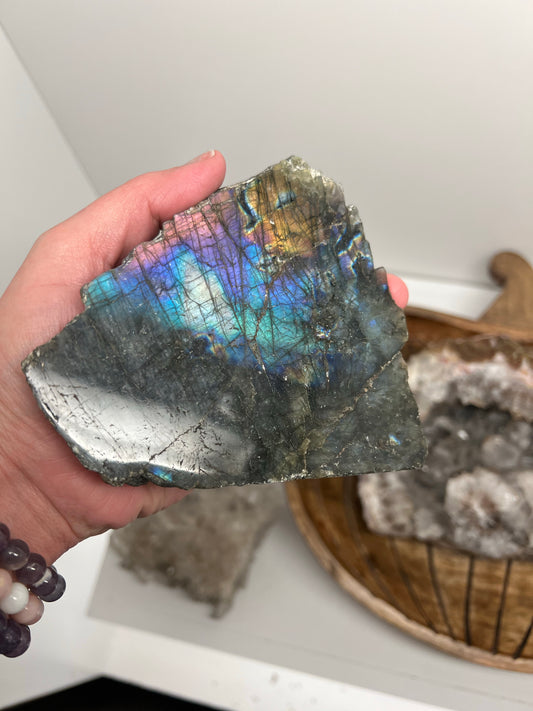 Purple Lab Half Polished