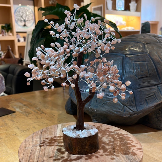 Peach Moonstone Tree