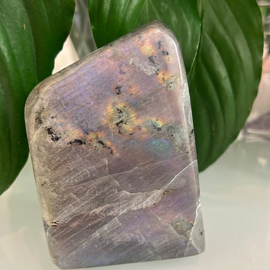 Purple Labradorite